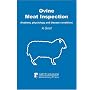Ovine Meat Inspection: Anatomy, Physiology and Disease Conditions