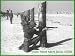 Search : Army Basic 1950s, Fort Dix NJ & Army Recruiter & War Games