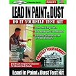 Pro Lab Inc. LP106 Lead Test Kit For Paint And Dust