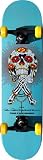 Plan B Rodriguez Calvera Complete Skateboard - 7.75 Turquoise