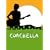 Coachella [DVD]