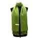 Olive N Figs Solid Plain Pashmina Scarf/ Stole/ Wrap - Apple Green
