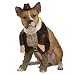 Search : Indiana Jones Indiana Dog Costume