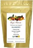 Virgin Extracts (TM) Pure Premium Organic Freeze Dried Blueberry SuperFood Powder Extract Concentrate 8oz Pouch by Virgin Extracts Sale