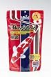HIKARI GOLD 17.6OZ MEDIUM