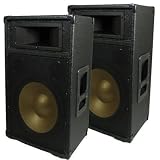 New PA Band Karaoke DJ Pro Audio 12