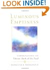 Luminous Emptiness: Understanding the Tibetan Book of the Dead