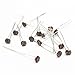 COOCHEER Gas Pole Saw 11.5 inch Guide Bar 2-Cycle pole chainsaw Photoresistor Optoresistor for tree 5539 trimming