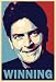 Charlie Sheen Winning Movie Poster Print - 13x19