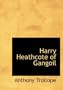 Harry Heathcote of Gangoil (Large Print Edition)