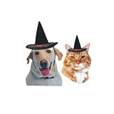 SDISC Halloween Witch Hat for Small or Medium Dogs