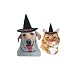 SDISC Halloween Witch Hat for Small or Medium Dogs