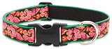 Lupine Large Dog Collar - Tropicana 12-20