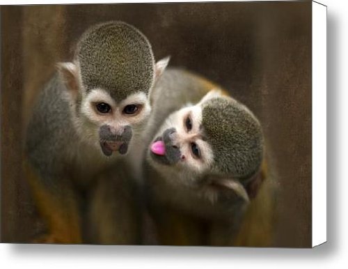 french kiss Canvas Print / Canvas Art - Artist Angel Tarantella