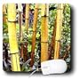 Flowers - Bamboo - Mouse Pads