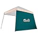 Dolphins Northpole NFL Adjustable Side Wall