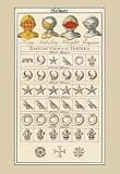 Helmets and Distinction of Houses - 16x24 Giclee Fine Art Print framed in Gold (20x30 finished)