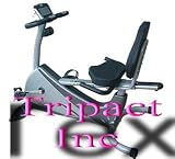 Buy Cheap   Seen on TV Sunny Delux Health and Fitness Recumbent Exercise Bike
