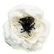 Karin's Garden - Silk Cabbage Rose Pin & Salon Clip, Click to See Other Colors