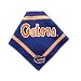 Dog Bandana - University of Florida - M/L