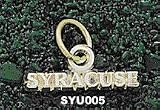 Syracuse Orange Charm/Pendant
