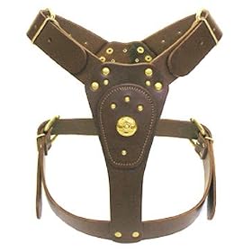Bull Terrier Dog Harness Dome Shield & Brass Stud Brown