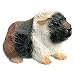 Bullyland - Abyssinian Guinea Pig