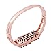For Fitbit Flex 2 Bands Replacement Metal Strap for Fitbit Flex 2. Stainless Steel, Do Not Fade. (rose glod)