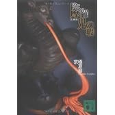 文庫版 陰摩羅鬼の瑕 (講談社文庫)