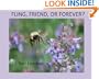 Fling, Friend, or Forever?