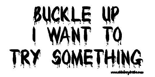 Buckle Up I Want To Try Something Offroad Bumper Sticker / Decal Buckle Up I Want To Try Something Offroad Bumper Sticker / Decal