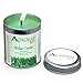 Aurorae 6.8 oz Eucalyptus Scented Soy Aromatherapy Candle