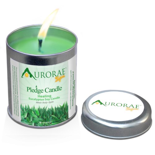 Aurorae 6.8 oz Eucalyptus Scented Soy Aromatherapy Candle