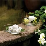 Marquis by Waterford Vintage Garden 15-inch Platter