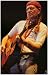 Willie Nelson - Live - Trigger Guitar 11x17 Poster