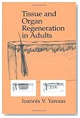 Tissue and Organ Regeneration in Adults
