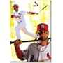 (22x34) St. Louis Cardinals (Albert Pujols with Bat) Sports Poster Print