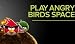 Angry Birds Space Game: Play Angry Birds Space Online for Free! Get all Golden Eggs and Bonus levels, Angry Birds Space Walkthrough, Cheats, Tips And Hints Guide