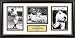 Babe Ruth New York Yankees Framed 14 x 26 Photograph Collage