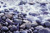 Biology Video: Biology Fieldwork 2: Investigating Marine Ecosystems