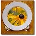 Black Eyed Susan Flowers - 8 Inch Porcelain Plate