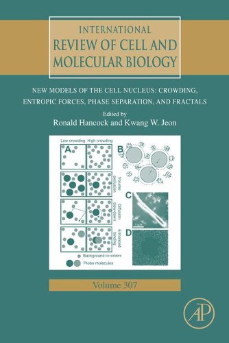 New Models of the Cell Nucleus: Crowding, Entropic Forces, Phase Separation, and Fractals: 307 (International Review of Cell and Molecular Biology)