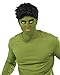 Rubie's Costume Co Men's Avengers 2 Age Of Ultron Adult Hulk Wig