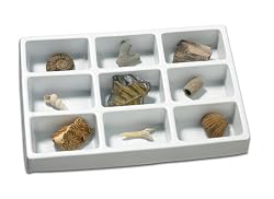 Educational Insights GeoSafari Fossils Collection