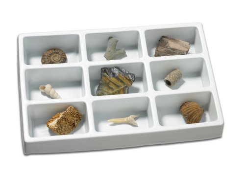 GeoSafari Fossil Collection