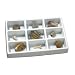 GeoSafari Fossil Collection