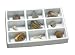 Educational Insights GeoSafari Fossils Collection