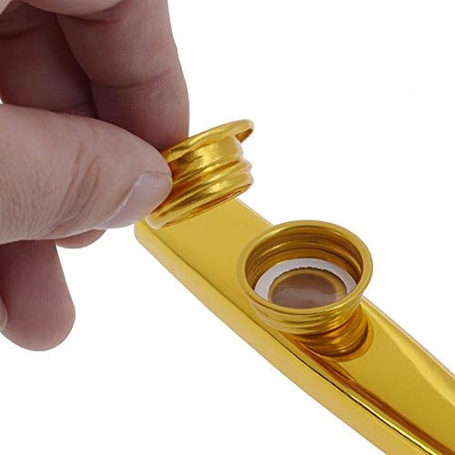 HeSound(TM) Metal Kazoo Guitar Accompaniment Mouth Flute Perfectly Fit for Music Beginners (Gold)