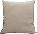 Blue Dolphin Decorative Flower Emboirdery & Applique Floral Throw Pillow Cover 18