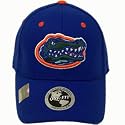 Florida Gators Adult One-Fit Hat